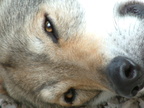 DSCF0023