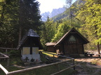 Jasenje