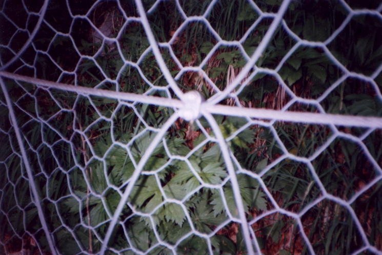 File0011310