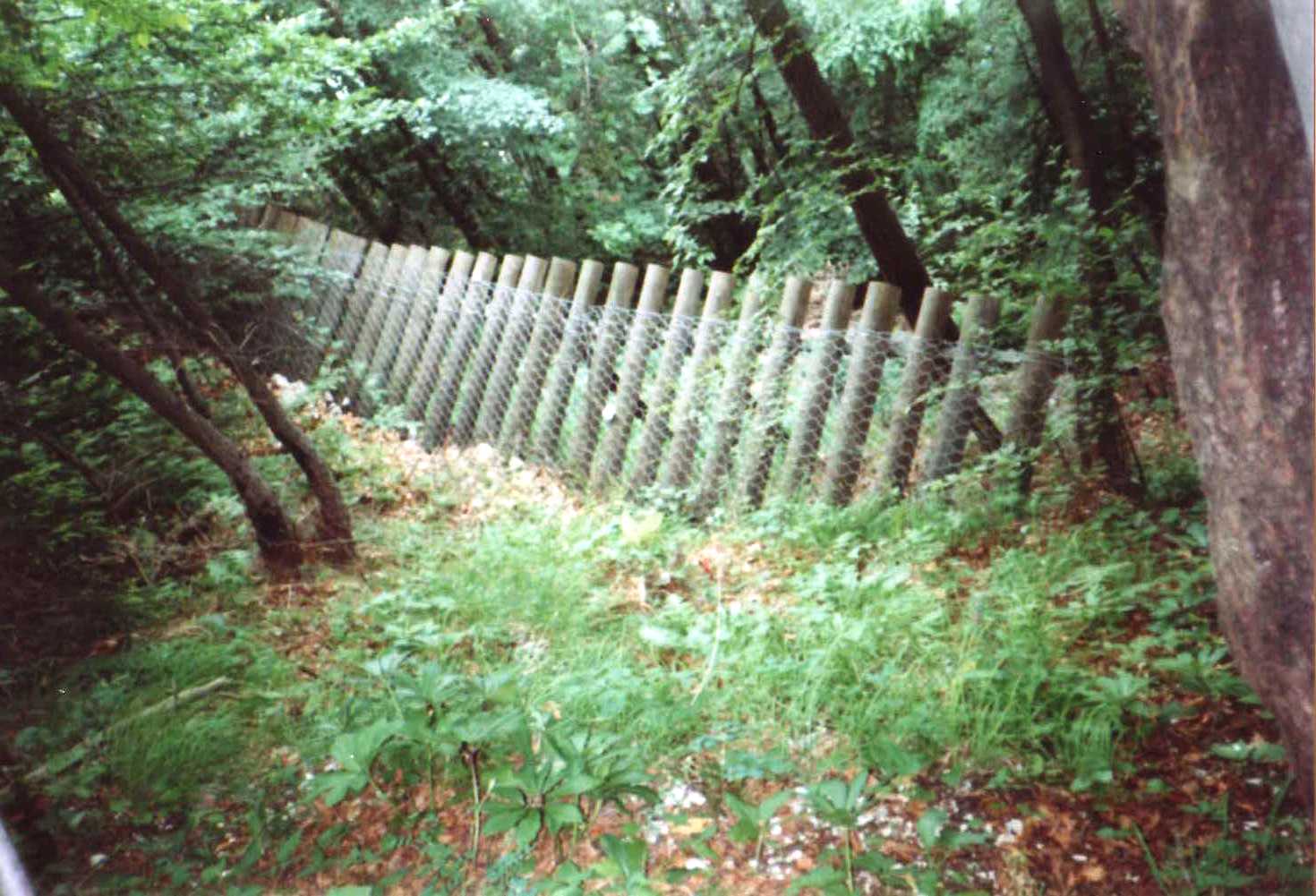 File0011781
